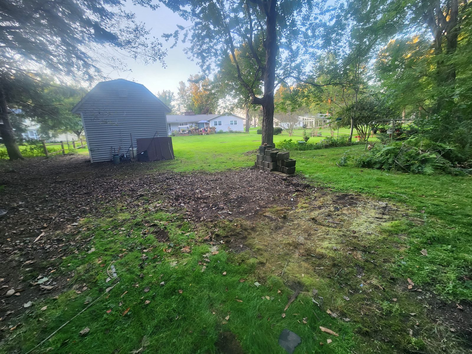 Cleared yard after shed teardown and debris haul-away in Central NY