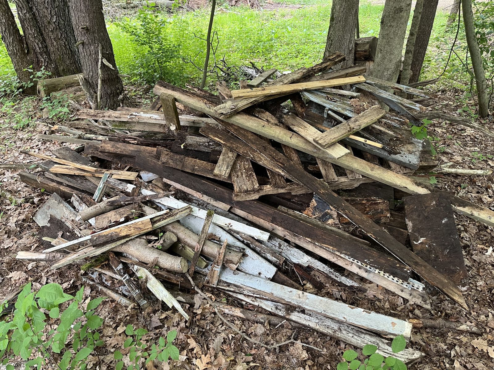 Yard debris before removal — pile of old lumber and debris in Central NY